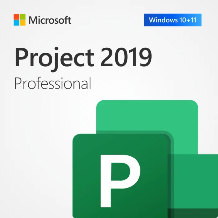 microsoft-project-2019-professional-cd-key