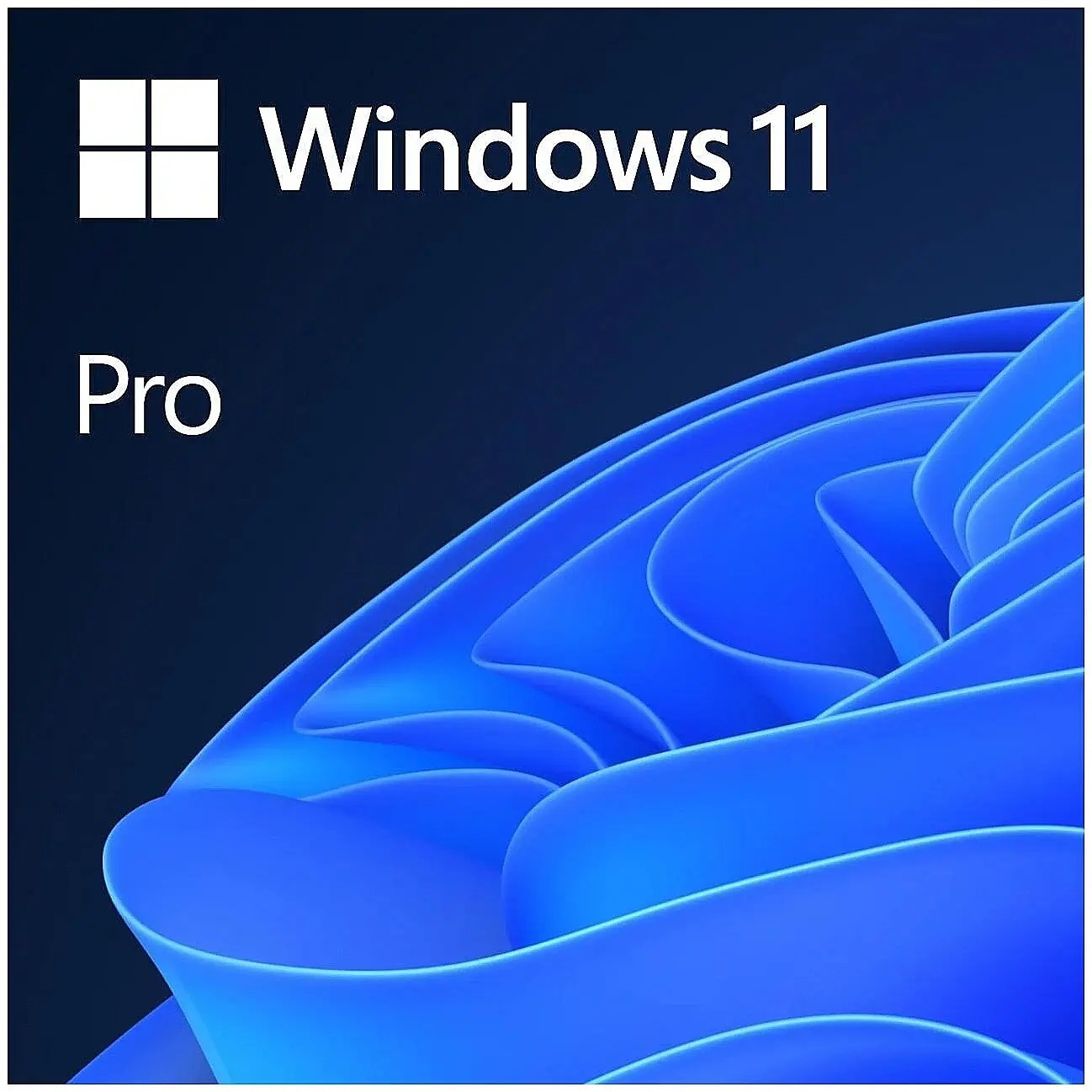 Windows 11 Pro
