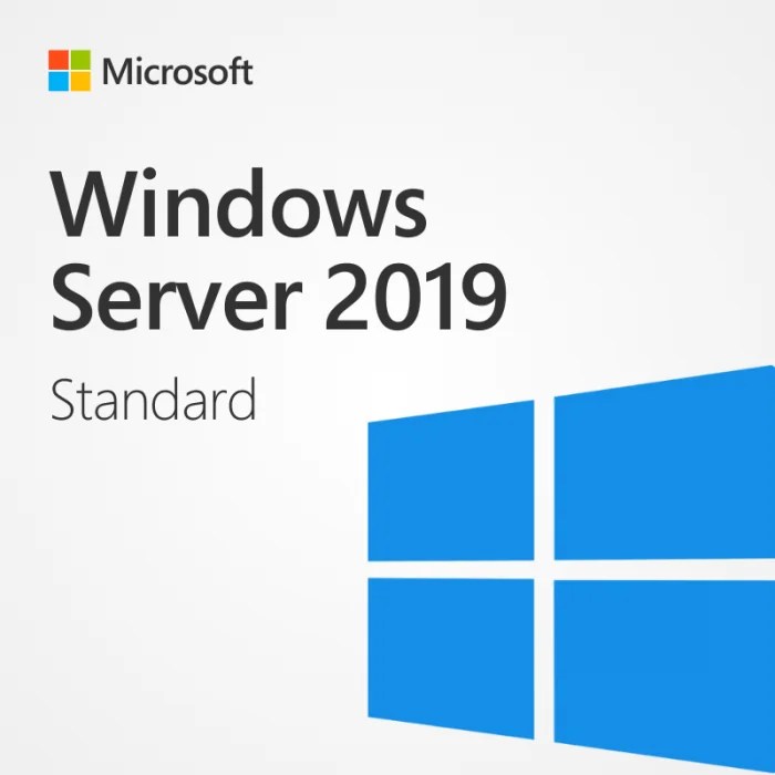 Windows Server Standard 2019